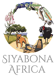 Siyabona Africa Mpumalanga