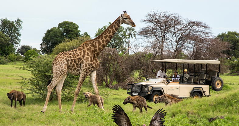 Moremi Game Reserve | Botswana Safari