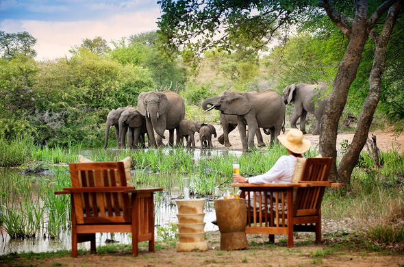 Greater Kruger Park Safari in South Africa
