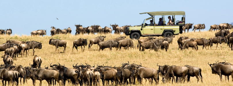 Tanzania safari Great Migration